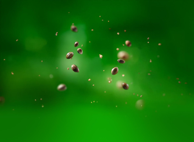 Organic hempseed oil