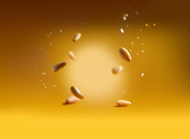Pine nut oil