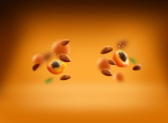 Organic apricot seed oil