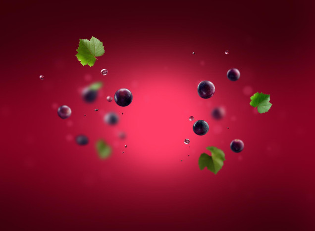 Zweigelt grape seed oil
